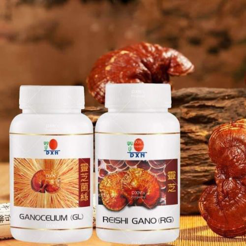 DXN - Reishi Gano Capsules