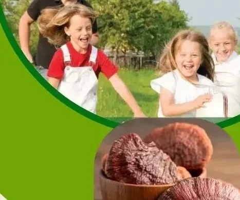 dxn ganoderma,dxn,ganoderma