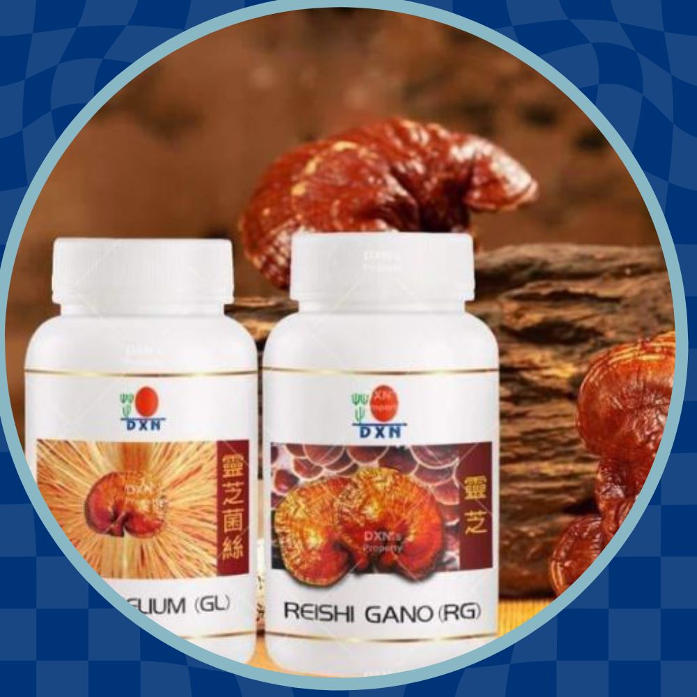 90-дневна и 18-дневна гъба Рейши Ganoderma lucidum