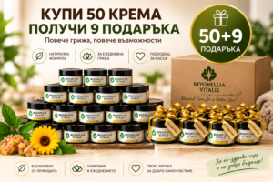 Boswellia Vitalis